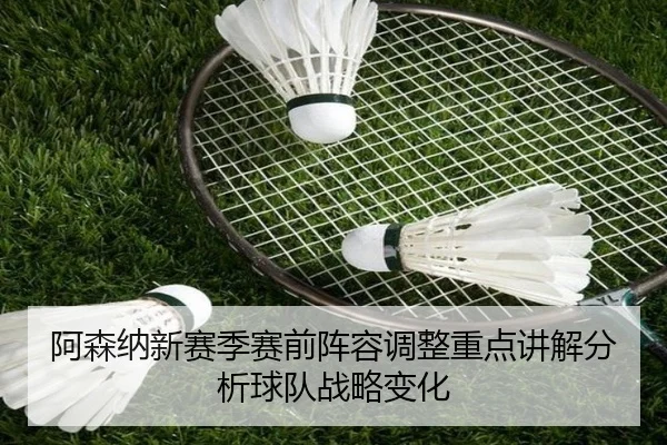 阿森纳新赛季赛前阵容调整重点讲解分析球队战略变化